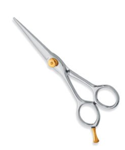 Professional Hair Cutting Scissors