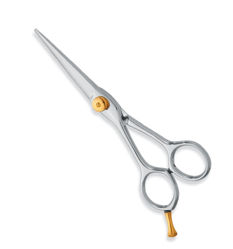 Professional Hair Cutting Scissors