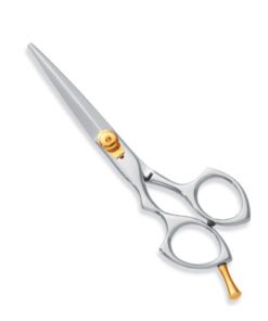 Professional Hair Cutting Scissors