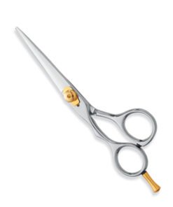 Professional Hair Cutting Scissors