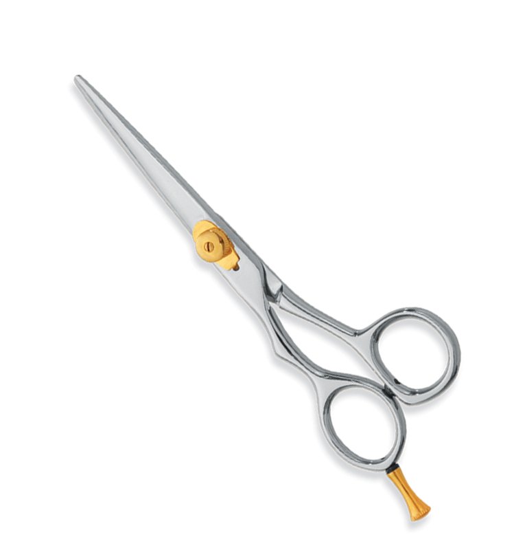 Professional Hair Cutting Scissors