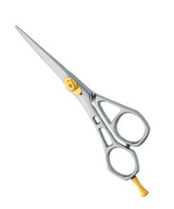 Professional Hair Cutting Scissors