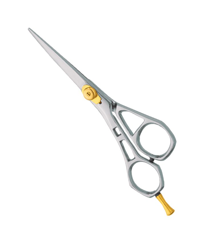 Professional Hair Cutting Scissors