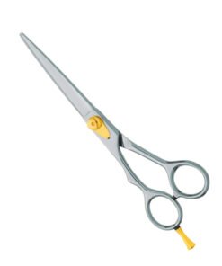 Professional Hair Cutting Scissors