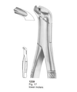 Extracting Forceps