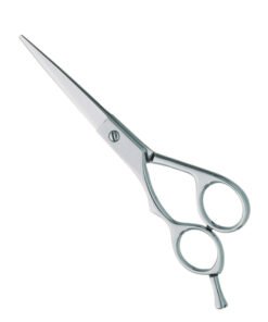 Professional Hair Cutting Scissors