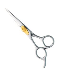 Professional Hair Cutting Scissors
