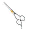 Professional Hair Cutting Scissors