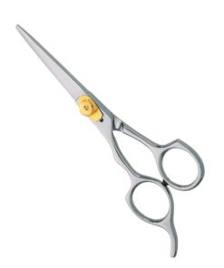 Professional Hair Cutting Scissors