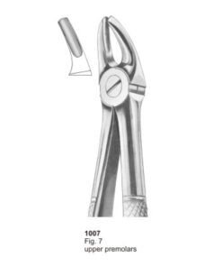 Extracting Forceps